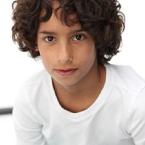 Sander