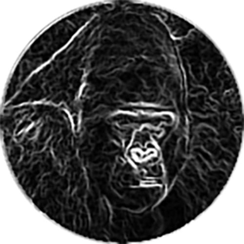 Neon Jungle Productions