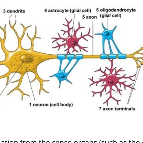 No