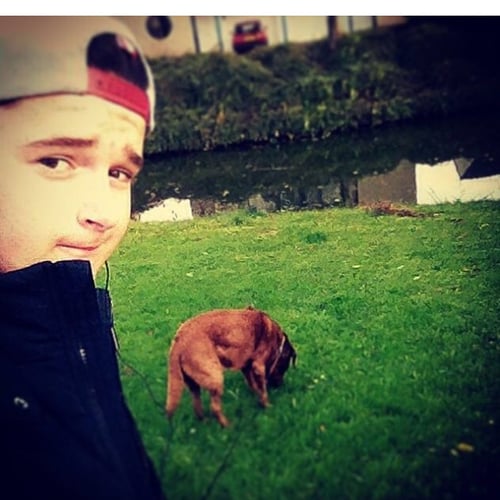 Luuk