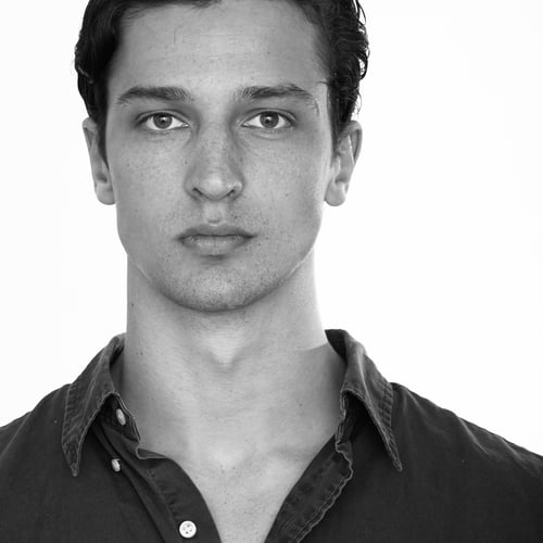 Hugo van Boven