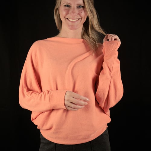 Diane Vet