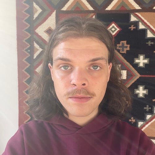 Daan van de Geest