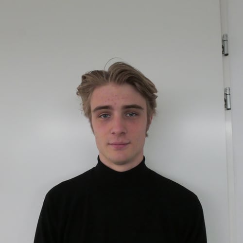 Tijn de Bok