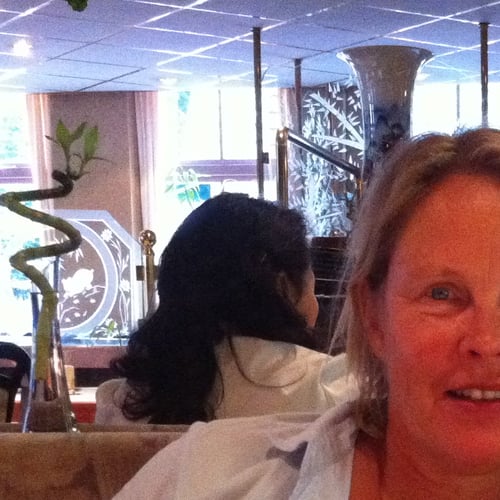 Karin van der Meer