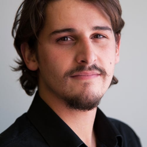 Denis Velic
