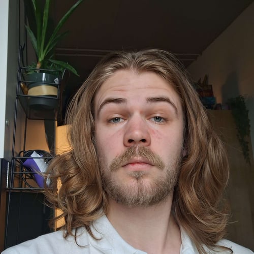 Reinder Vellema