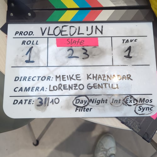 Vloedlijn