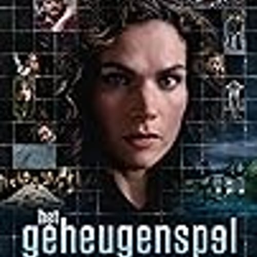 Het Geheugenspel