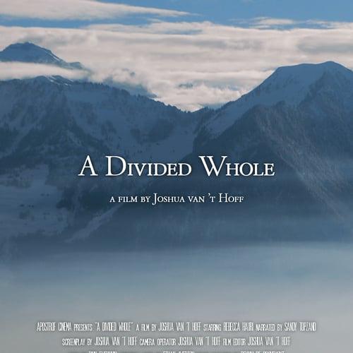 A Divided Whole