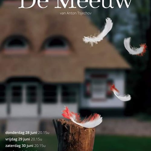 'De Meeuw' Anton Tsjechov