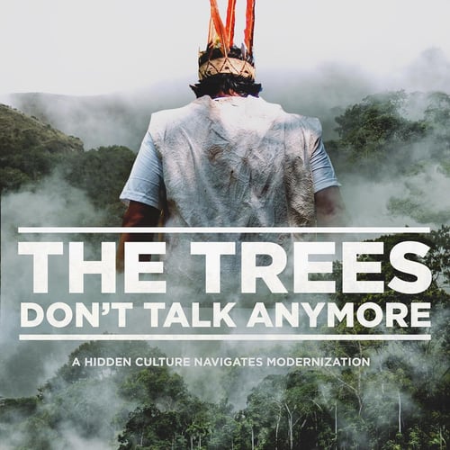 The Trees Don't Talk Anymore