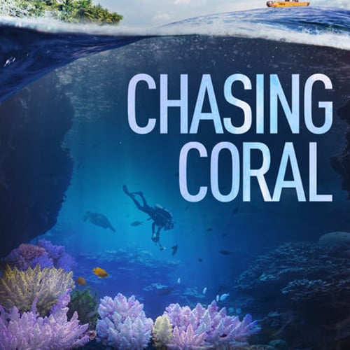Chasing Coral