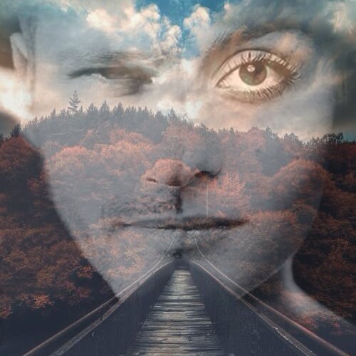 The Path we Take