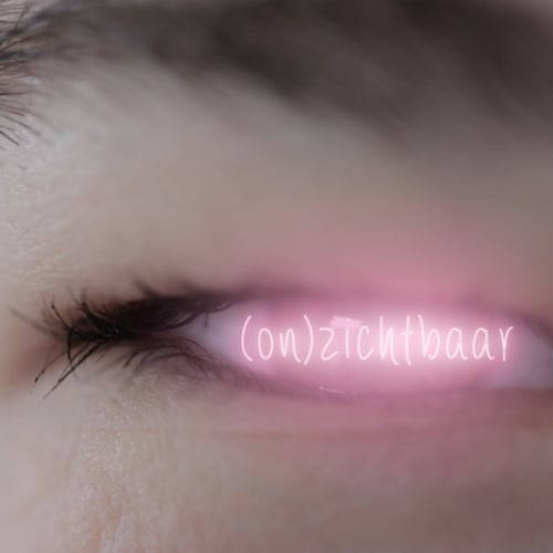 (On)zichtbaar