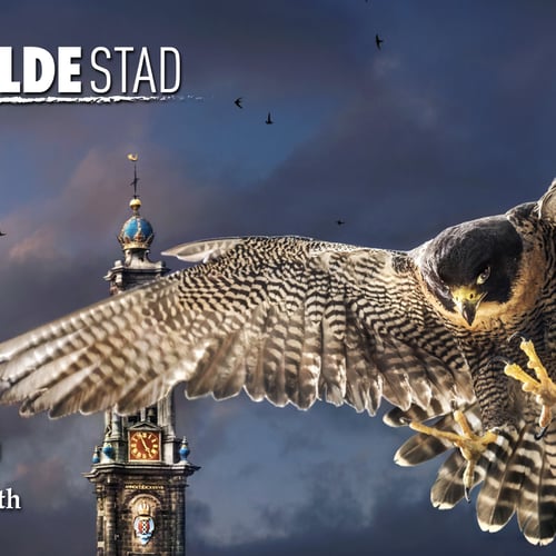De Wilde Stad