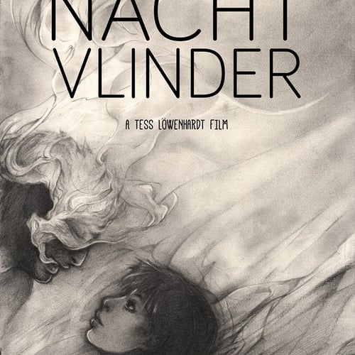 Nachtvlinder