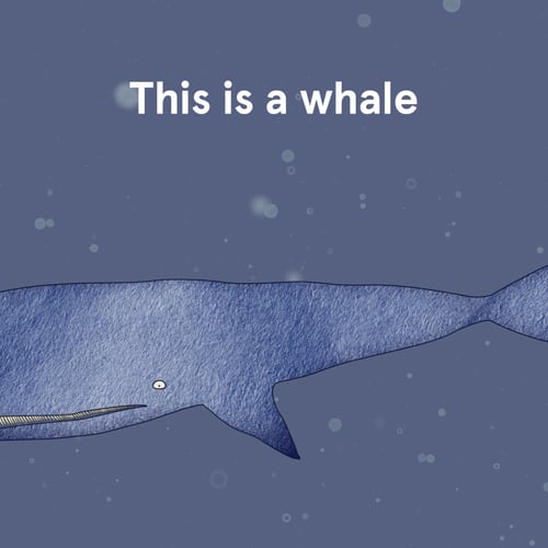 This is a whale