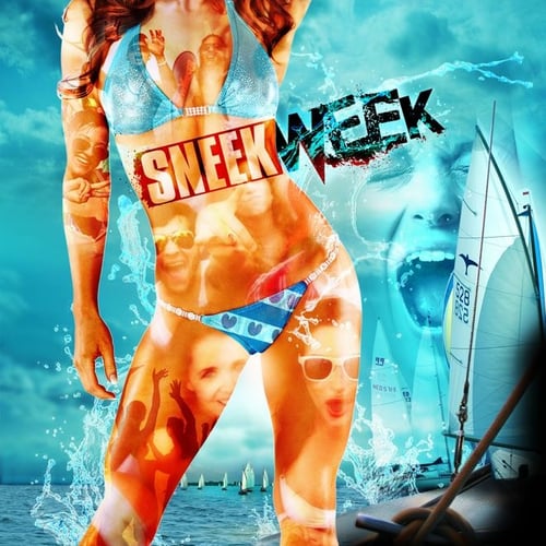Sneekweek film
