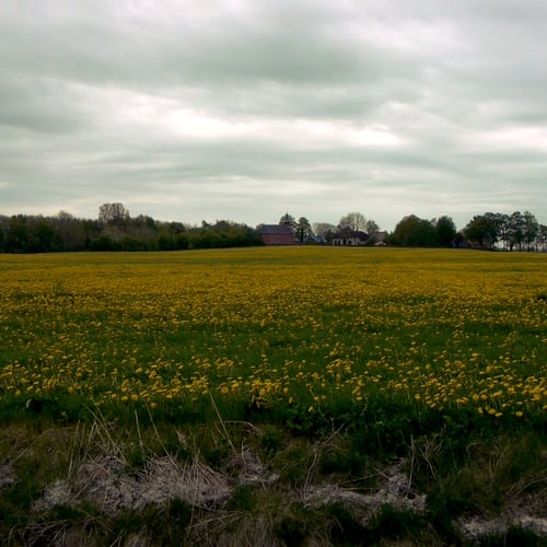 Unmoved Land