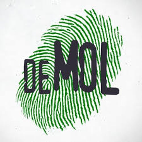 Wie is de mol