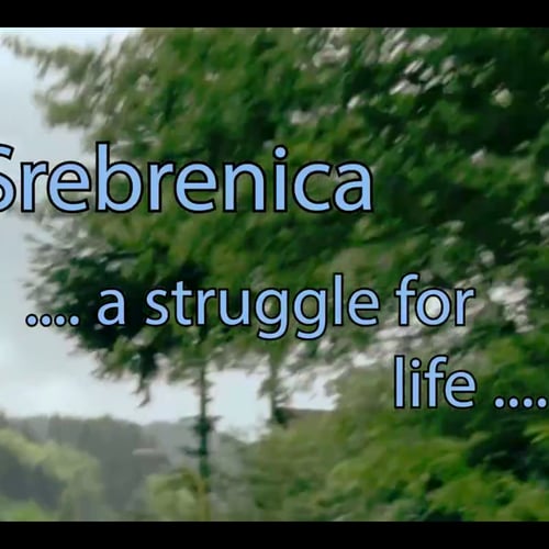 Srebrenica... A Struggle for Life...