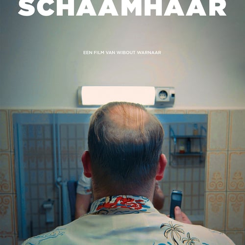 Schaamhaar