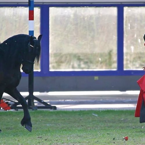 Spiegelbeeld