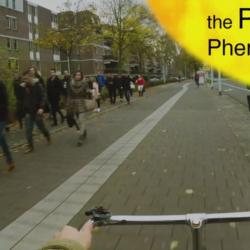 The Phoenix Phenomenon