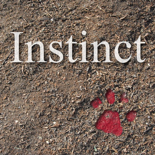Instinct