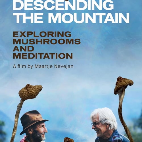 Descending The Mountain