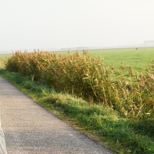Afgedwaald