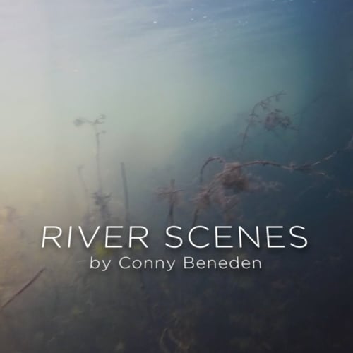 River Scenes