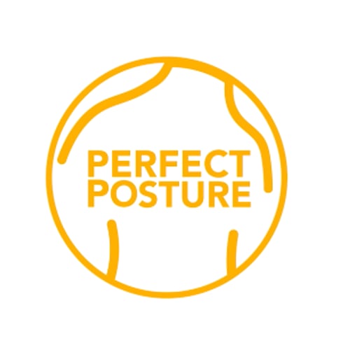 Perfect Posture