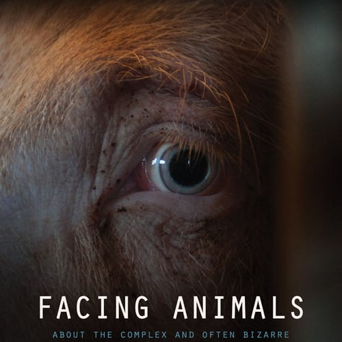 Facing Animals