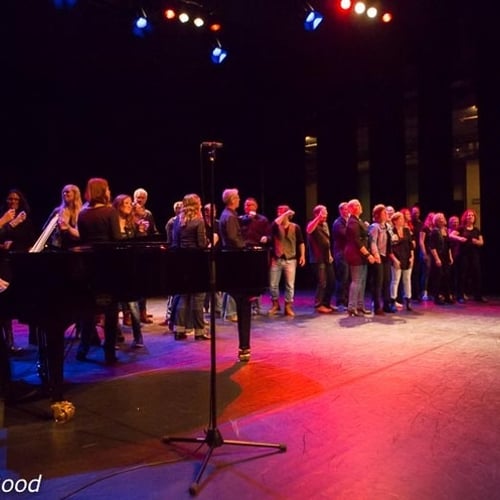 Musical Oliver! (2014)