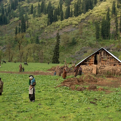 Made In Kashmir