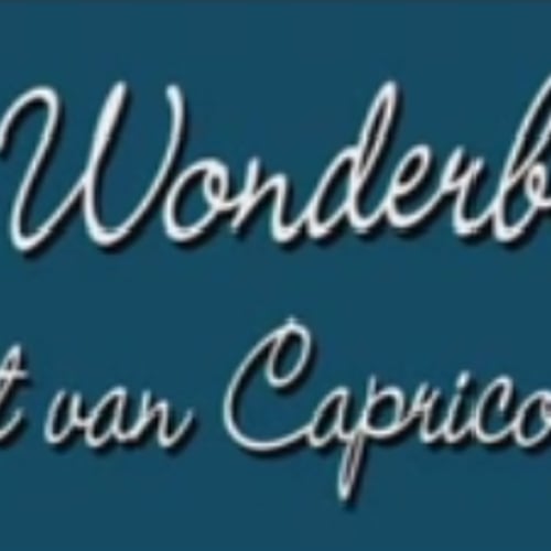 De Wonderboom
