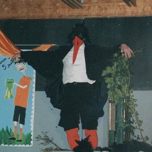 Meester Kikker