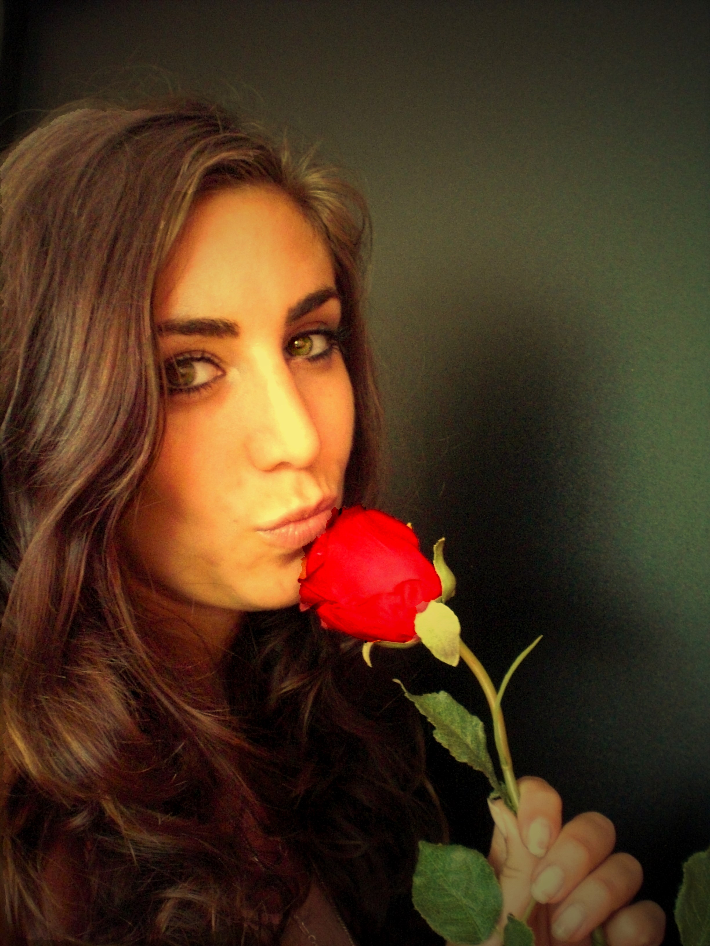 The Bachelor