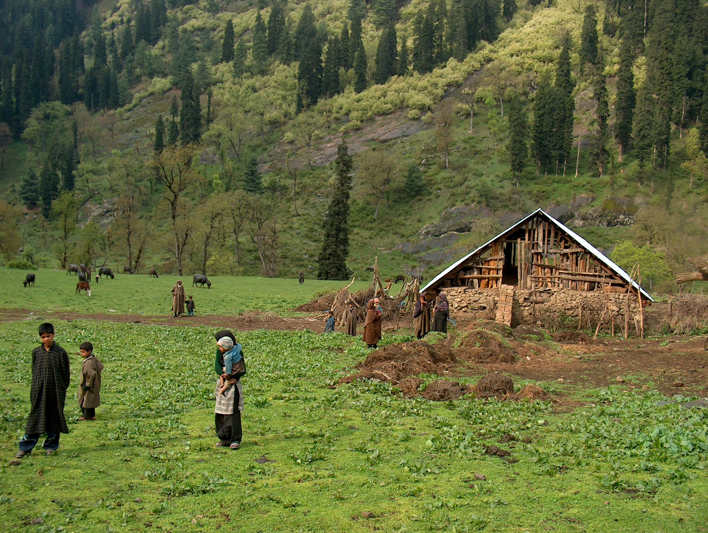 Made In Kashmir