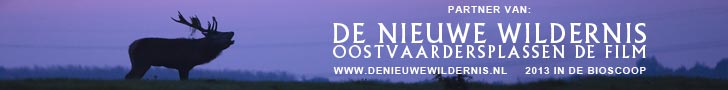 De Nieuwe Wildernis