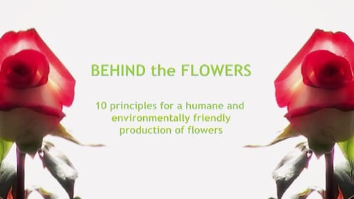 educational film | information film production