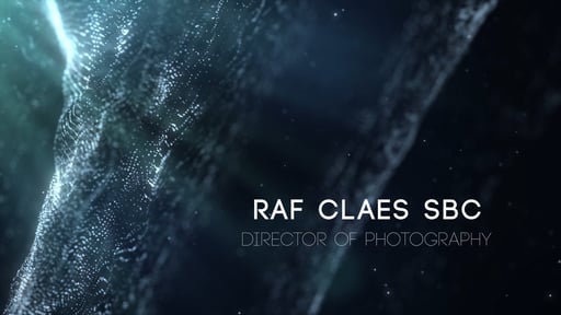 Website van Raf Claes SBC